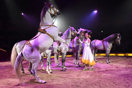 Circus Krone Premiere in München