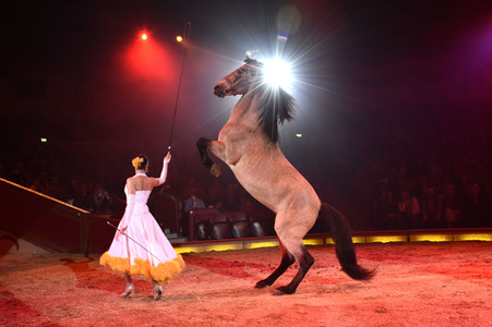 Circus Krone Premiere in München