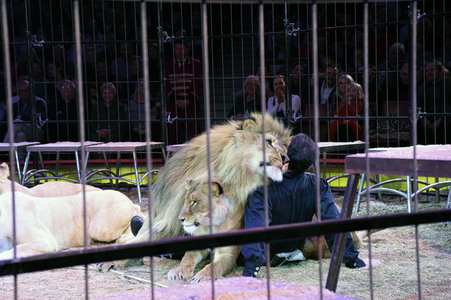 Circus Krone Premiere in München