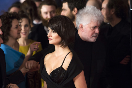 Goya Awards 2017 in Madrid