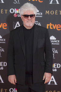 Goya Awards 2017 in Madrid