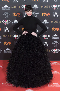 Goya Awards 2017 in Madrid