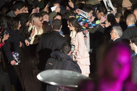 Filmpremiere 'Fifty Shades of Grey - Gefährliche Liebe' in Madrid