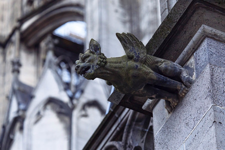 Wasserspeier am Kölner Dom