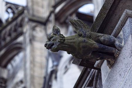 Wasserspeier am Kölner Dom