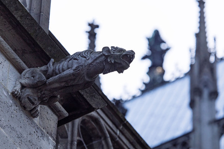 Wasserspeier am Kölner Dom