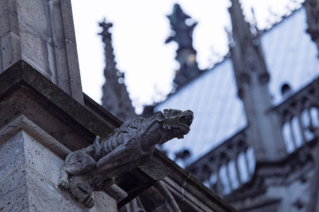 Wasserspeier am Kölner Dom
