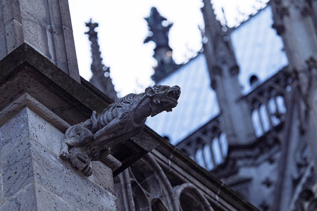 Wasserspeier am Kölner Dom