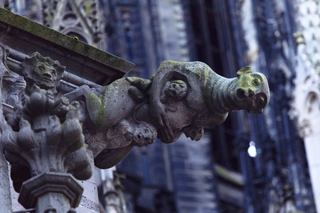 Wasserspeier am Kölner Dom
