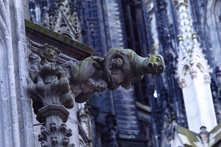 Wasserspeier am Kölner Dom