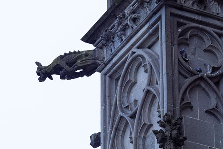 Wasserspeier am Kölner Dom