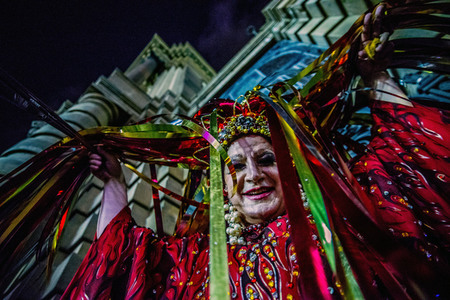 Brazilian Carnival in Sao Paulo