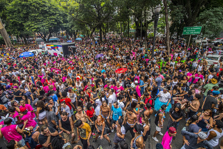 Carnival Parade 'Minhoqueens of the Arouche' in Sao Paulo