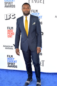 Film Independent Spirit Awards 2017 in Santa Monica