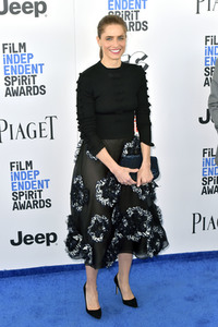 Film Independent Spirit Awards 2017 in Santa Monica