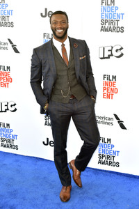 Film Independent Spirit Awards 2017 in Santa Monica