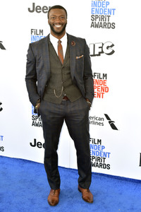 Film Independent Spirit Awards 2017 in Santa Monica