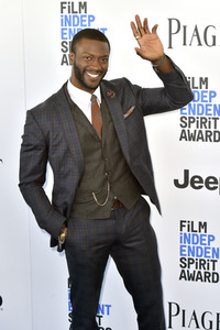 Film Independent Spirit Awards 2017 in Santa Monica