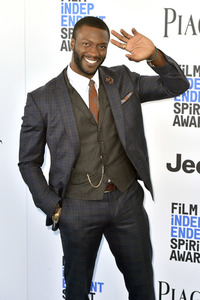 Film Independent Spirit Awards 2017 in Santa Monica