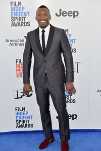 Film Independent Spirit Awards 2017 in Santa Monica