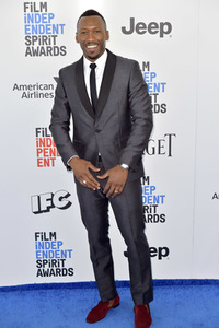 Film Independent Spirit Awards 2017 in Santa Monica