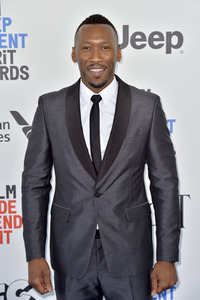 Film Independent Spirit Awards 2017 in Santa Monica