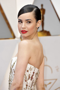 Oscar Verleihung 2017 in Los Angeles