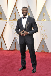 Oscar Verleihung 2017 in Los Angeles
