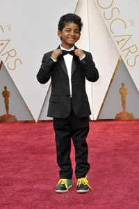 Oscar Verleihung 2017 in Los Angeles