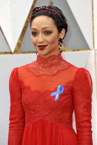 Oscar Verleihung 2017 in Los Angeles