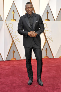 Oscar Verleihung 2017 in Los Angeles