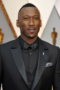 Oscar Verleihung 2017 in Los Angeles