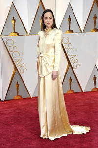 Oscar Verleihung 2017 in Los Angeles