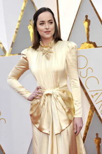 Oscar Verleihung 2017 in Los Angeles