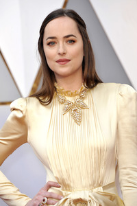Oscar Verleihung 2017 in Los Angeles
