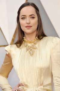 Oscar Verleihung 2017 in Los Angeles