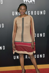 Serienpremiere 'Underground' in Los Angeles