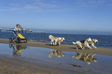Baltic Lights 2017 auf Usedom