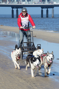 Baltic Lights 2017 auf Usedom