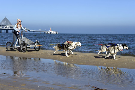 Baltic Lights 2017 auf Usedom