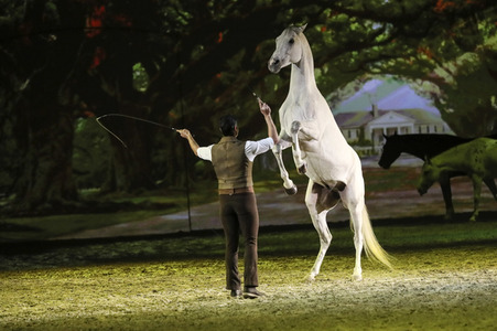 Pferdeshow 'Apassionata - Cinema of Dreams'