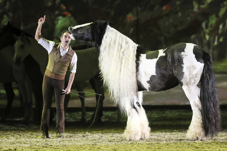 Pferdeshow 'Apassionata - Cinema of Dreams'
