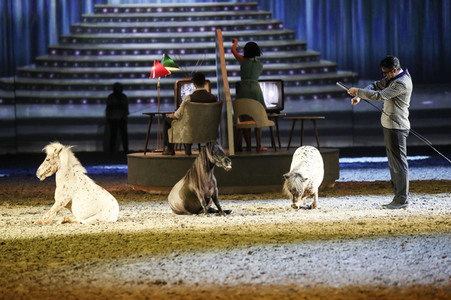 Pferdeshow 'Apassionata - Cinema of Dreams'