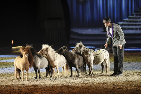 Pferdeshow 'Apassionata - Cinema of Dreams'