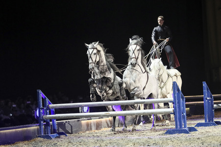 Pferdeshow 'Apassionata - Cinema of Dreams'
