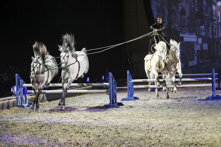 Pferdeshow 'Apassionata - Cinema of Dreams'
