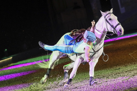 Pferdeshow 'Apassionata - Cinema of Dreams'