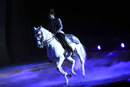 Pferdeshow 'Apassionata - Cinema of Dreams'