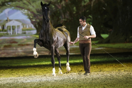 Pferdeshow 'Apassionata - Cinema of Dreams'