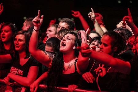 Konzert der Broilers in Erfurt